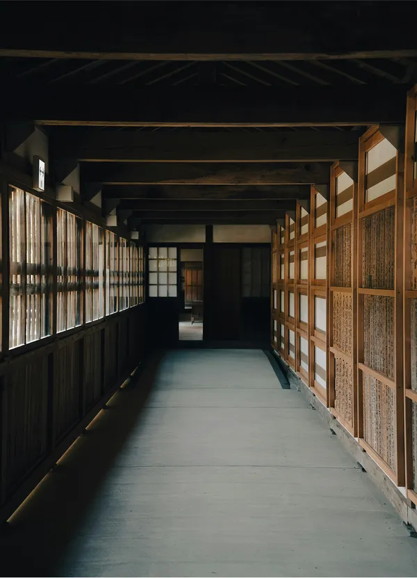 Trees standing on a mountain hill with mountains and a blue sky with some clouds in the background.