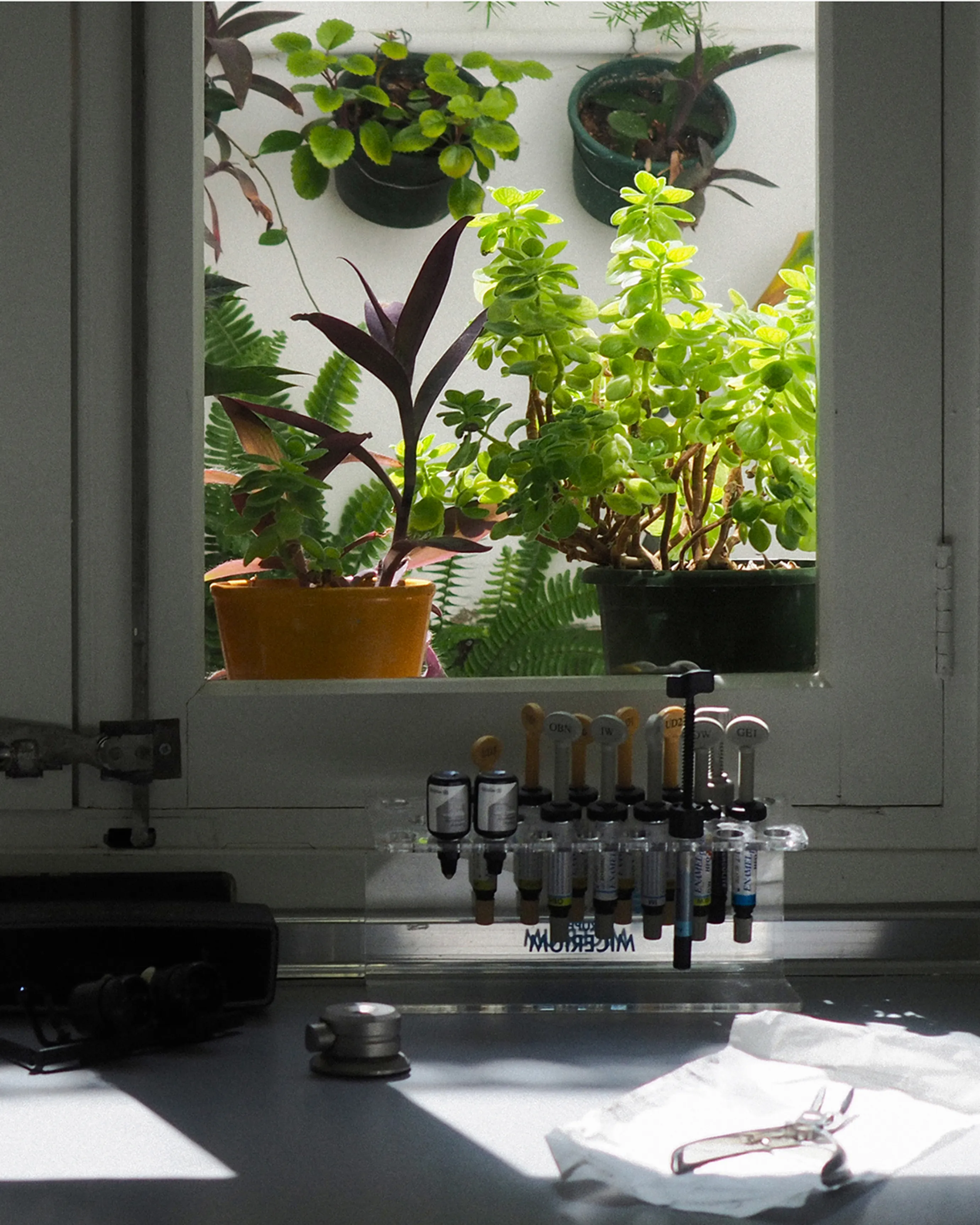 Image of dentist devices with plants in the background.
