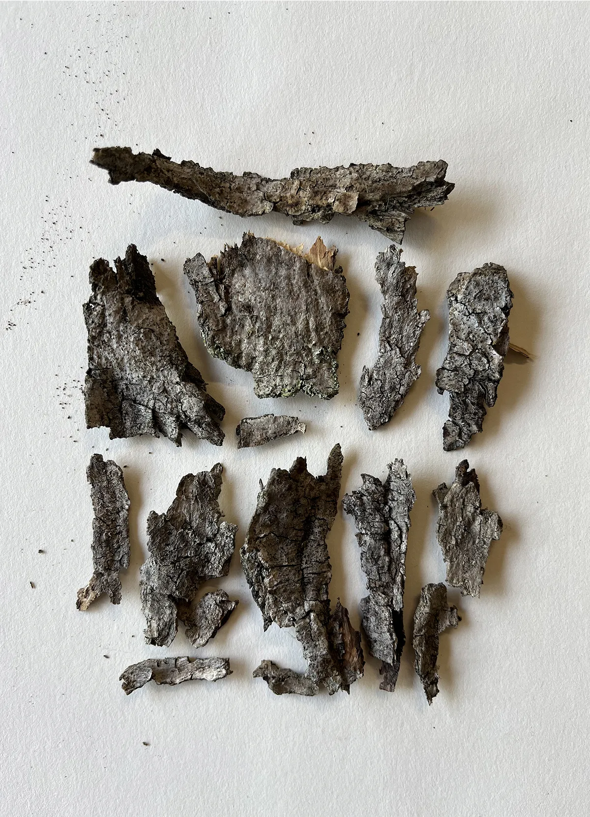 alt1